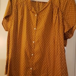 Button down short sleeve shirt